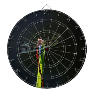 Blaue und schwarze Libelle auf grünem und rotem Gr Dartscheibe