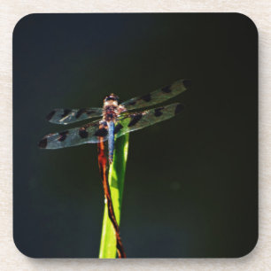 Blaue und schwarze Libelle auf grünem und rotem Gr Getränkeuntersetzer