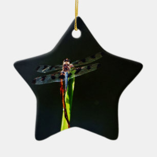 Blaue und schwarze Libelle auf grünem und rotem Gr Keramikornament