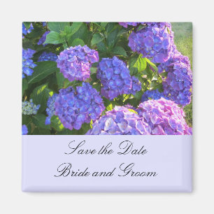 Blaue und violette Hortensien Magnet
