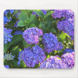 Blaue und violette Hortensien Mousepad