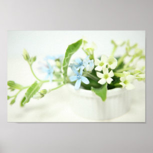 Blaue und weiße Blume. Poster