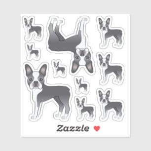Blaue und weiße Boston Terrier Hund Illustrationen Aufkleber