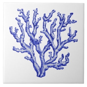 Blaue und weiße Korallen Fliese