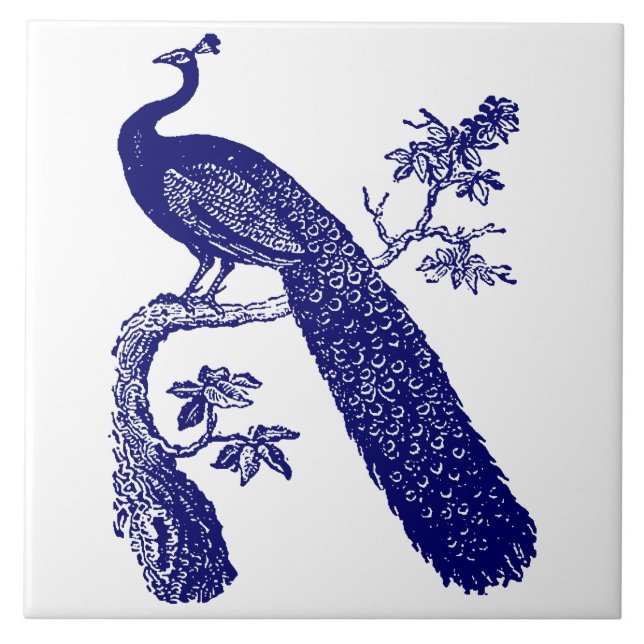 Blaue und weiße Pfaue Fliese (Vorderseite)