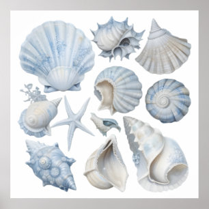 Blaue und weiße Wasserfarben - Muscheln - Kinderzi Poster