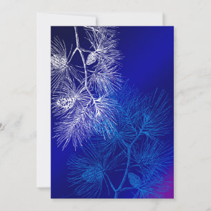 Blaue und weiße Winterkiefer