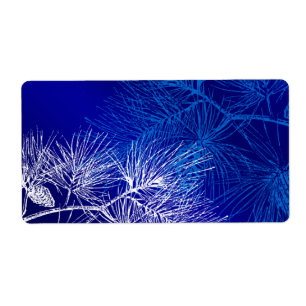 Blaue und weiße Winterkiefer