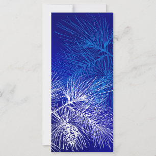 Blaue und weiße Winterkiefer