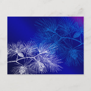 Blaue und weiße Winterkiefer Postkarte