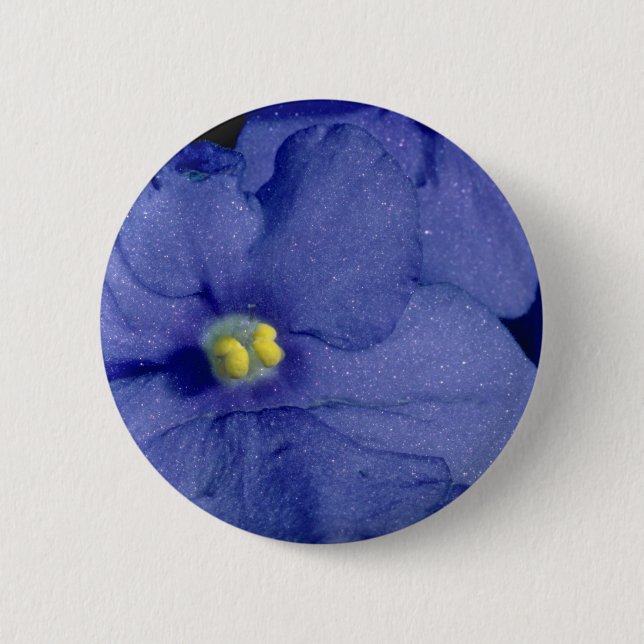 Blaue Usambaraveilchen-Blumen Button (Vorderseite)