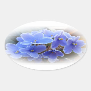 Blaue Usambaraveilchen Ovaler Aufkleber