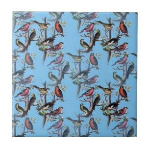 Blaue Vintage-Kunst-Vogel-Muster-Accessoires LeahG Fliese
