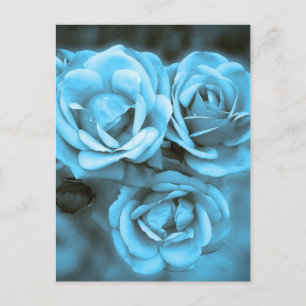 Blaue Vintage-Rosen Postkarte