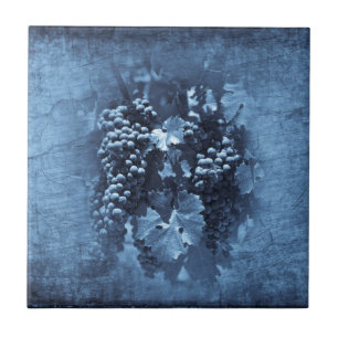 Blaue Vintage-Trauben Gips Fliese