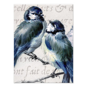 Blaue Vintage-Vögel Collage - Anpassbare Blaue Vög Fotodruck