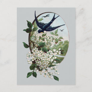 Blaue Vintage-Vögel und blühender Zweig Postkarte
