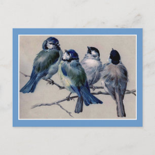 Blaue Vögel auf einer Zweigstelle Postkarte