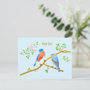 Blaue Vögel Hellblau Postkarte