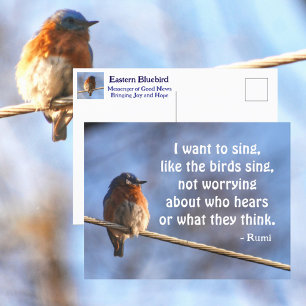 Blaue Vogel Ich möchte singen Rumi Zitat Fotografi Postkarte