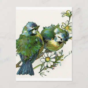 Blaue Vögel im Vintage-Stil Postkarte