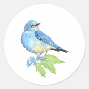 Blaue Vögel im Wasser Runder Aufkleber