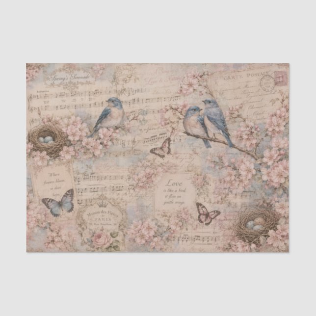 Blaue Vögel Kirschblüten Notenpapier Seidenpapier (Vorderseite)