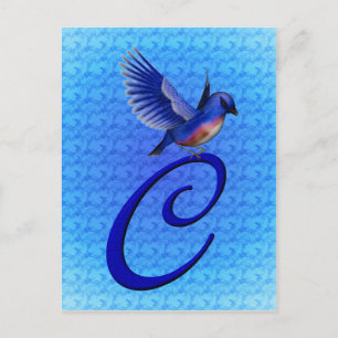 Blaue Vogel-Monogramm Anfangsbuchstabe C Elegant Postkarte