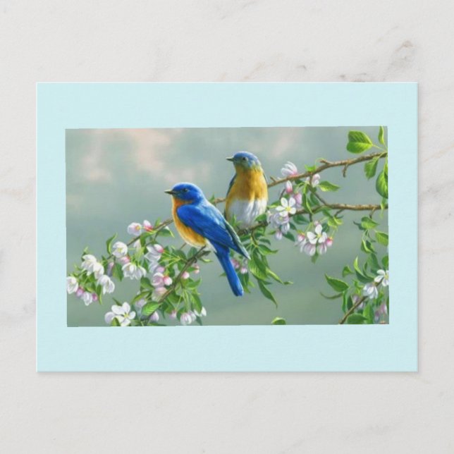 Blaue Vögel Postkarte (Vorderseite)