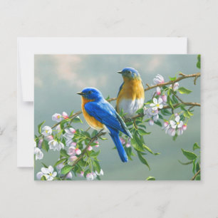 Blaue Vögel Postkarte