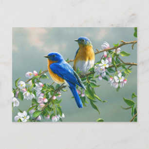 Blaue Vögel Postkarte