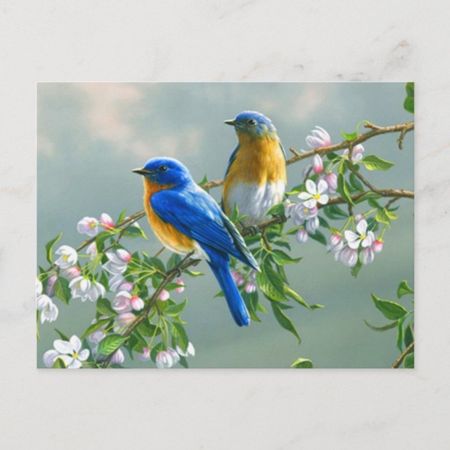 Blaue Vögel Postkarte (Vorderseite)