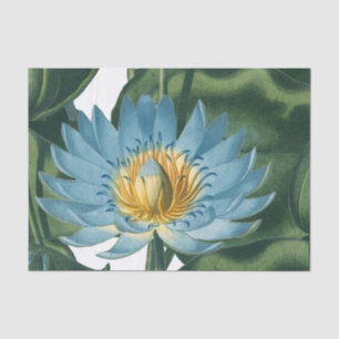 Blaue Wasserlilie Blume Vintag Seidenpapier