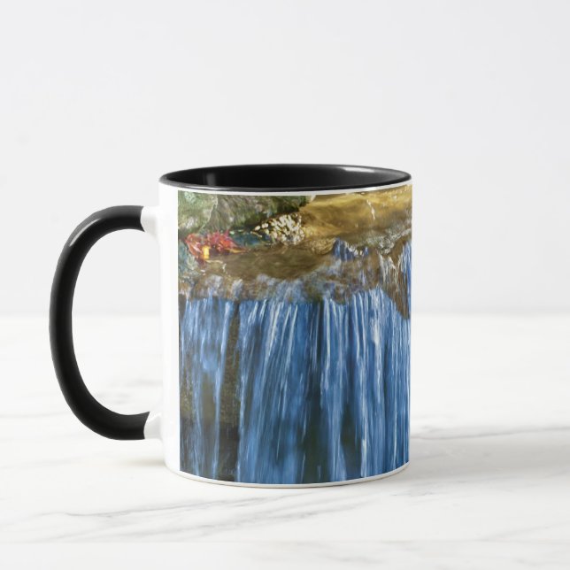 Blaue Wasserquelle Tasse (Links)