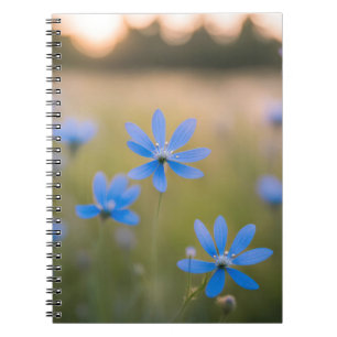 Blaue Wildblumen auf Meadow Notizblock