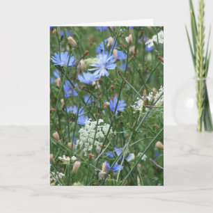 Blaue Wildblumen Karte