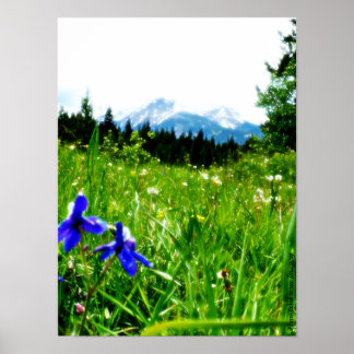 Blaue Wildblumen nach Berggipfeln Poster