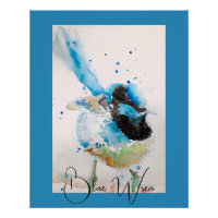 Blaue Wren-Aquarellmalerei Australische Vögel