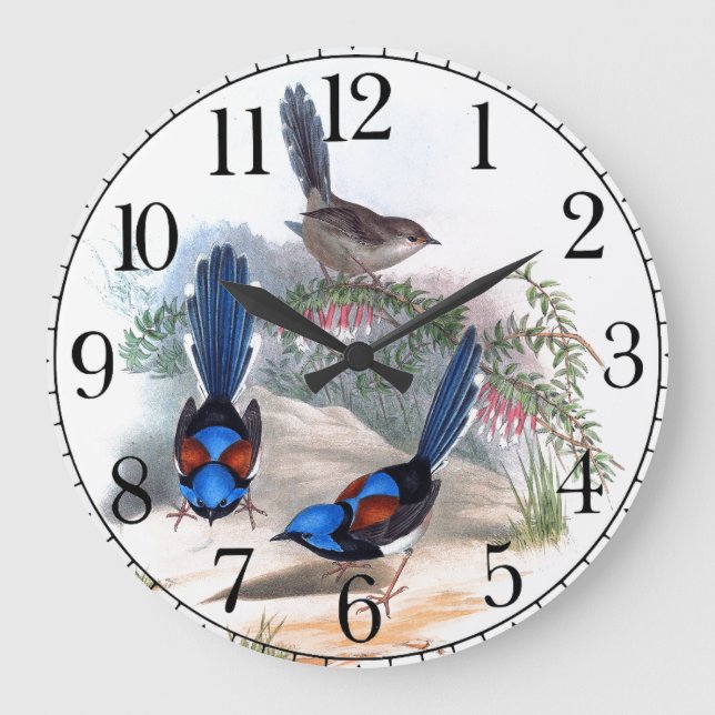 Blaue Zaunkönig-Vogel-Tier-Tier-Wanduhr Große Wanduhr (Vorderseite)