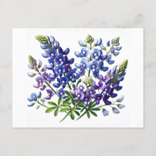 Blauebonnets Texas State Blumen Lupine Aquarell Postkarte