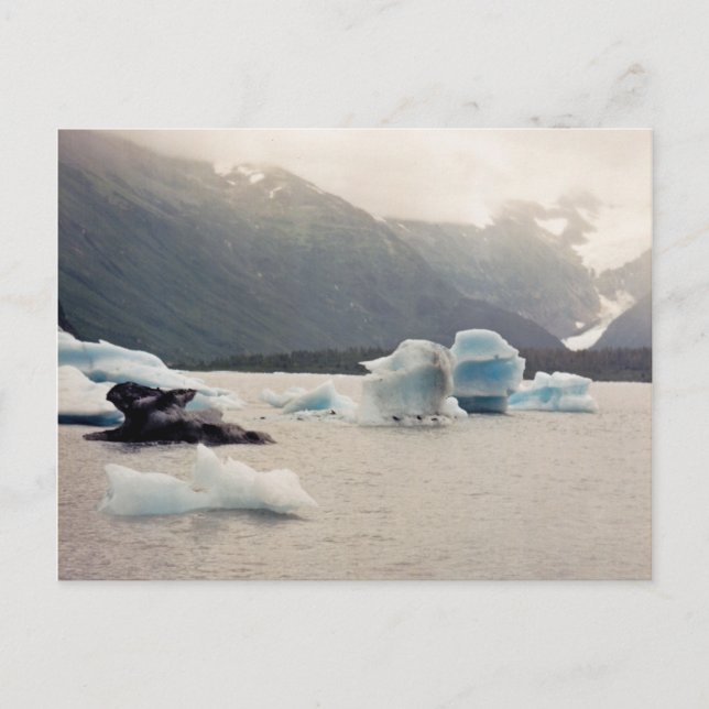 Blaueis Postkarte (Vorderseite)