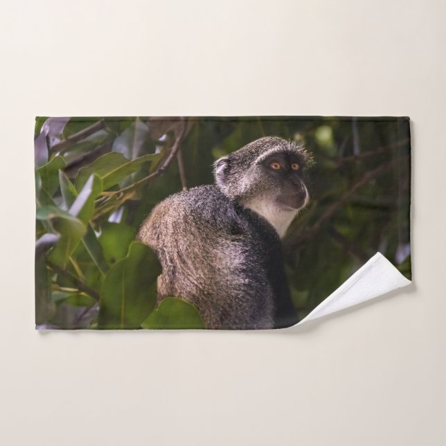 Blauer Affe, Sansibar Badhandtuch Set (Handtuch)