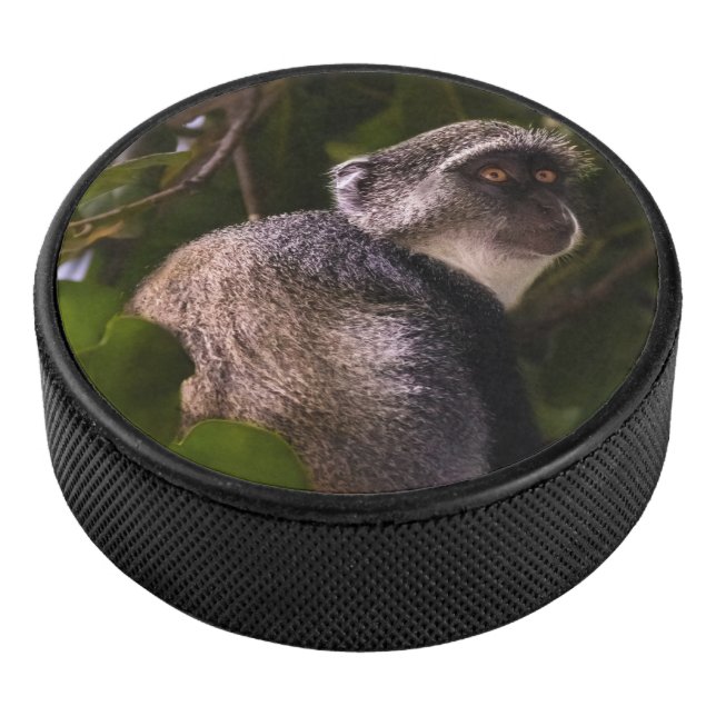 Blauer Affe, Sansibar Eishockey Puck (3/4)