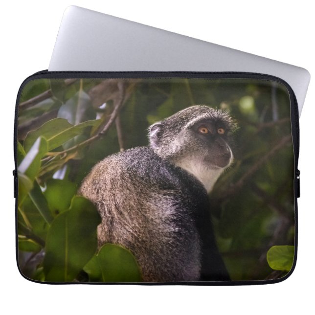 Blauer Affe, Sansibar Laptopschutzhülle (Vorderseite)