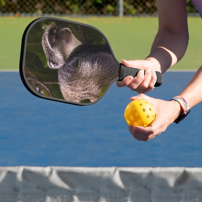 Blauer Affe, Sansibar Pickleball Schläger (InSitu)