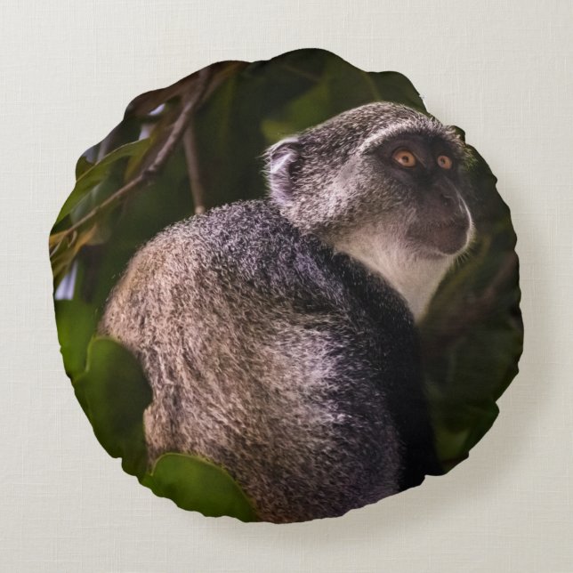 Blauer Affe, Sansibar Rundes Kissen (Rückseite)