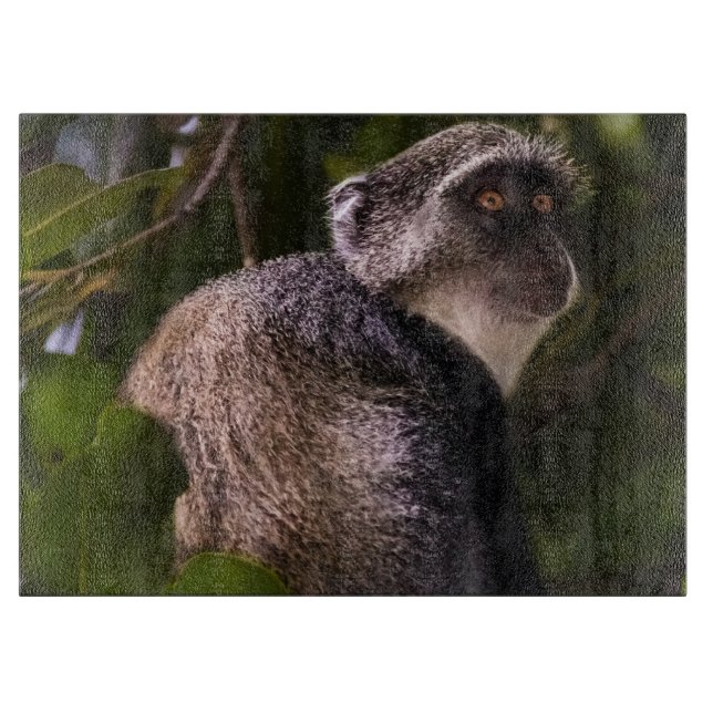 Blauer Affe, Sansibar Schneidebrett (Vorderseite)