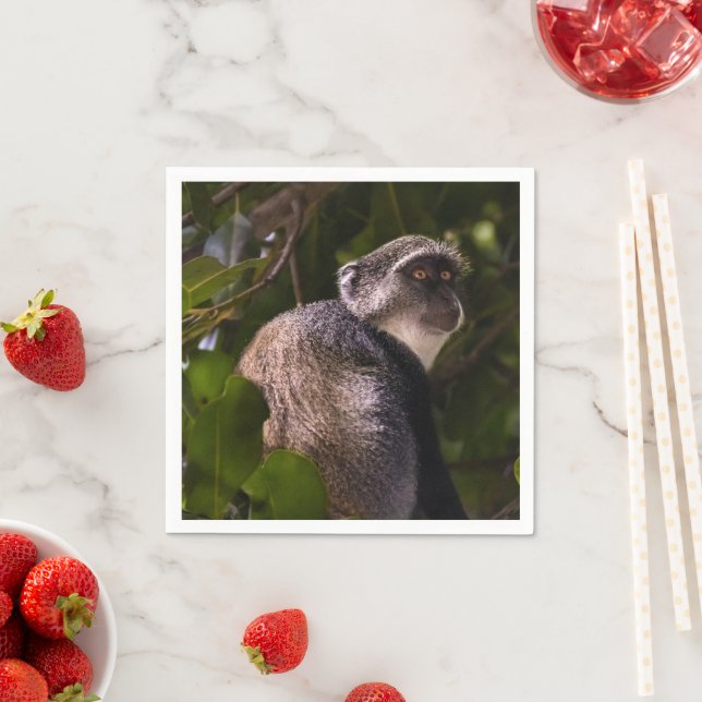 Blauer Affe, Sansibar Serviette (Beispiel)