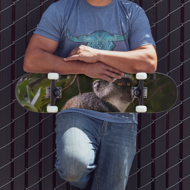 Blauer Affe, Sansibar Skateboard (Außenbereich 3)