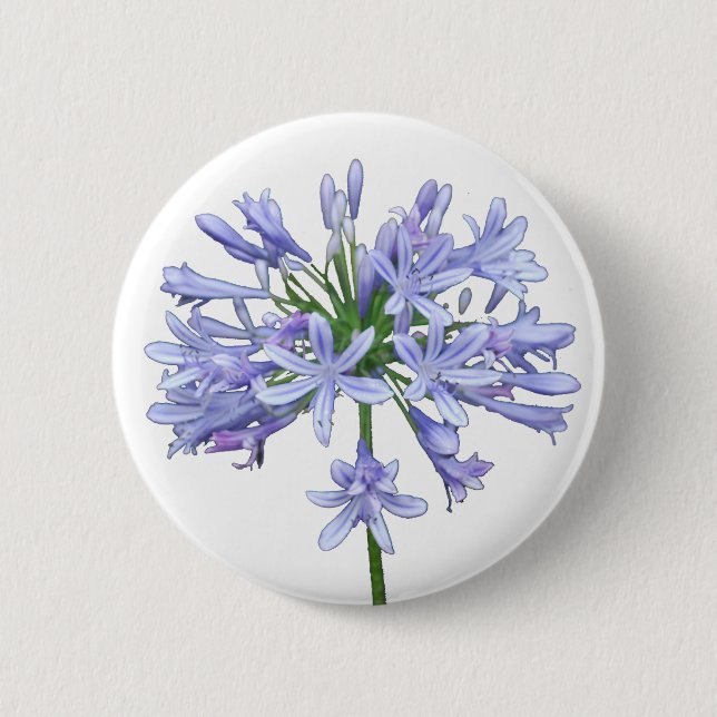 Blauer Agapanthus Button (Vorderseite)
